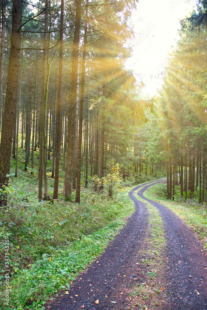 Obraz premium Wadweg mit Sonnenstrahlen