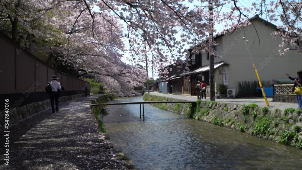 京都、岡崎を流れる白川のもっこ橋。 京都、岡崎を流れる白川のもっこ橋。