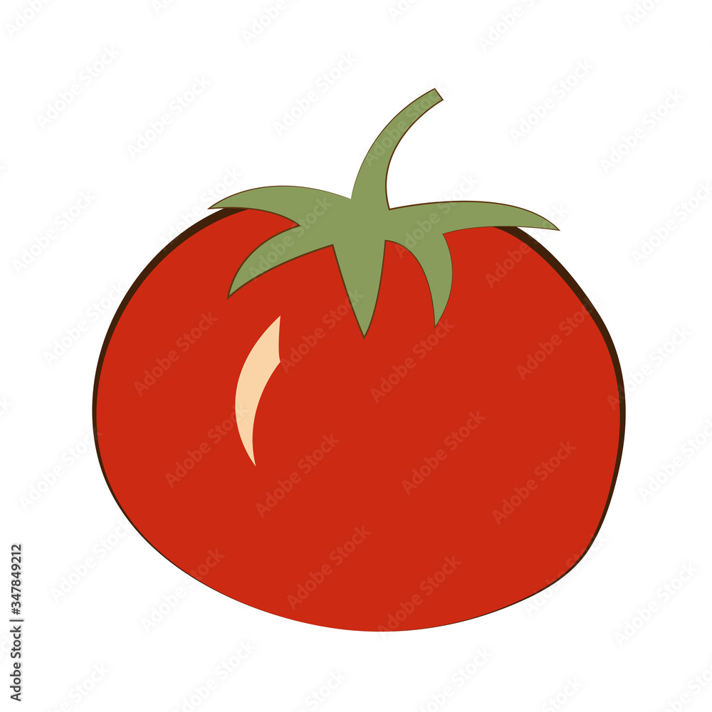 Image of tomato isolated on a white background. Vegetables for the kitchen from the garden. Healthy eating. Image of tomato isolated on a white background. Vegetables for the kitchen from the garden. Healthy eating.