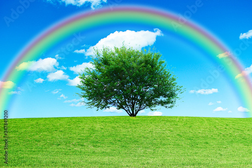 草原の木にかかる虹