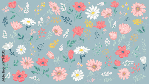 Vector illustration of petal and flowers. Beautiful set for vintage template invitation, decoration and cards.