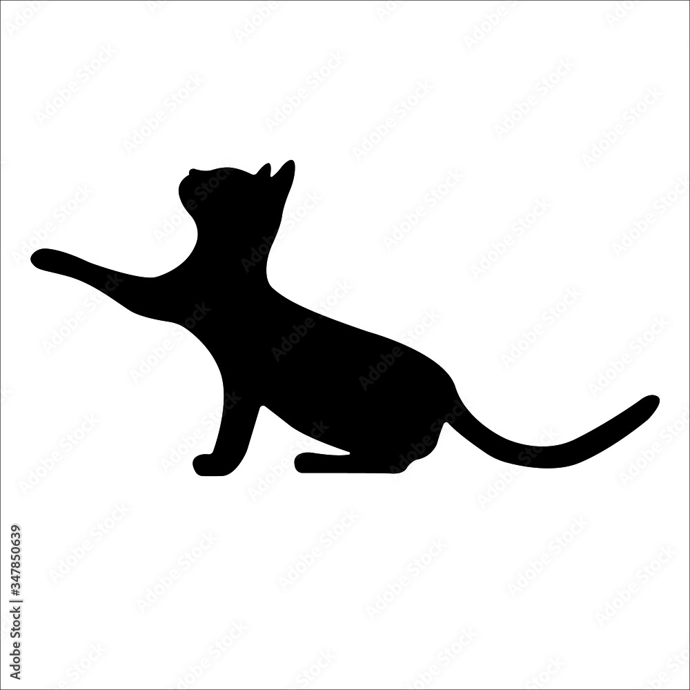 Vector silhouetted cat. The pet is playing. Silhouettes of cats in a playful mood, a kitten asks for attention.