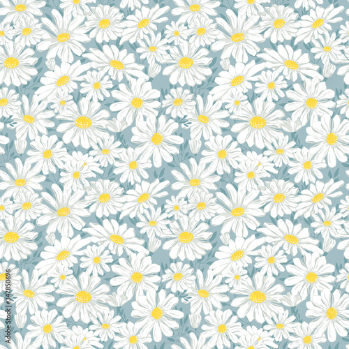 Chamomile seamless pattern. Vector illustration of endless flowers. © lubashka