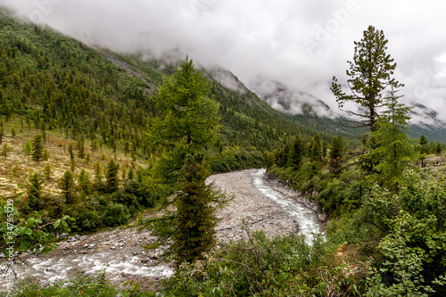 The river flows among the mountains overgrown with coniferous forest. Dense fog and clouds over the mountains. Horizontal.