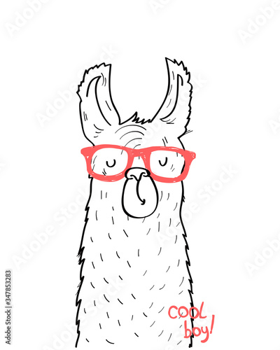 Cool llama t-shirt design. Vector illustration design for fashion fabrics, textile graphics, prints.