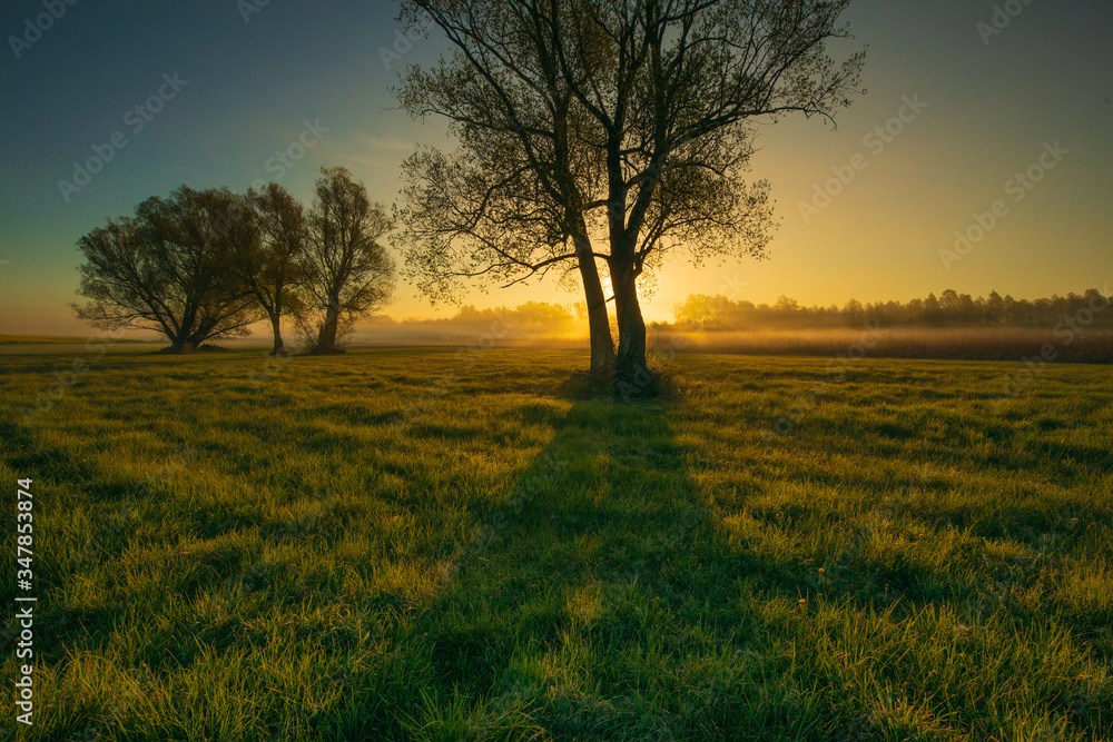 Beautiful landscape with sunrise. Idyllic view. Trees and sun rays. Beautiful landscape with sunrise. Idyllic view. Trees and sun rays.