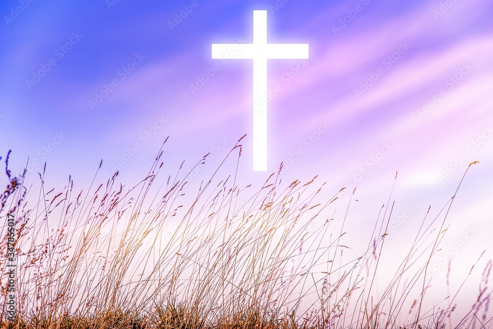 Cross against the sky . Dramatic nature background . Light from sky . Religion background . Cross against the sky . Dramatic nature background . Light from sky . Religion background .