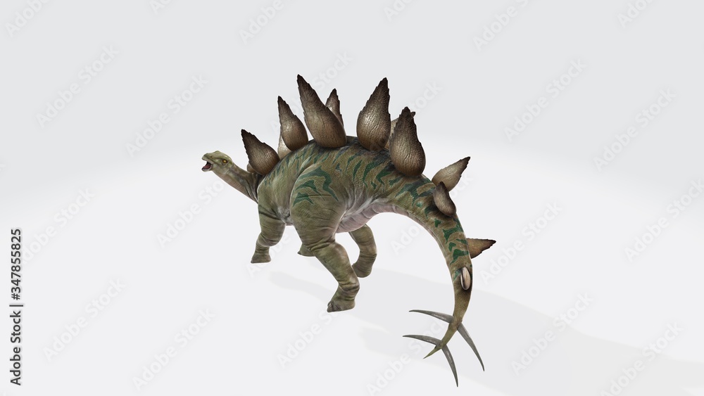 Fototapeta premium 3d illustration of stegosaurus. Dinosaur stegosaurus and monster model Isolated white background ,with clipping path