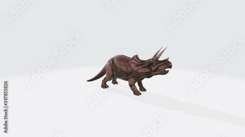 3d illustration of Triceraptor. dinosaur triceraptor isolated