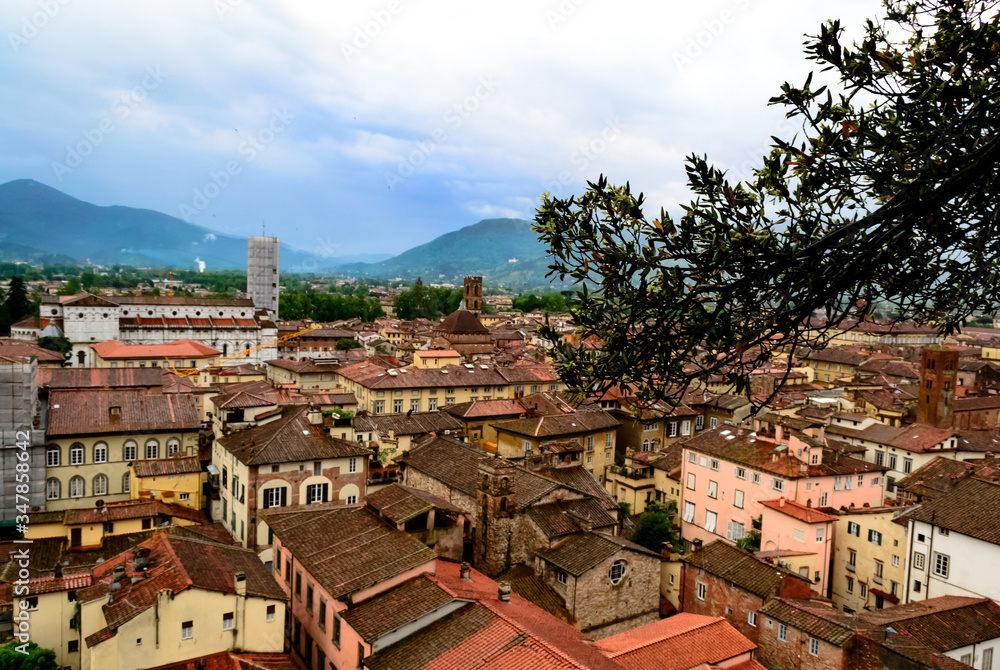 From the Guinigi's tower a landscape aerial view of the typical italian red roofs of the medieval town of Lucca in Tuscany, Italy 