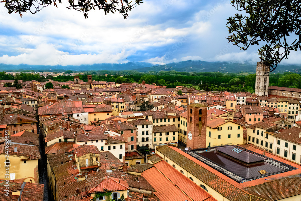 From the Guinigi's tower a landscape aerial view of the typical italian red roofs of the medieval town of Lucca in Tuscany, Italy 