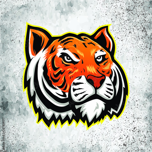 tiger head wild life vector illustration