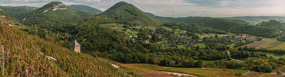 Vignes et vignobles du Bugey. Vignoble de Montalieu et vue sur le village  de Vérizieu.