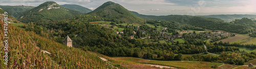 Vignes et vignobles du Bugey. Vignoble de Montalieu et vue sur le village de Vérizieu.