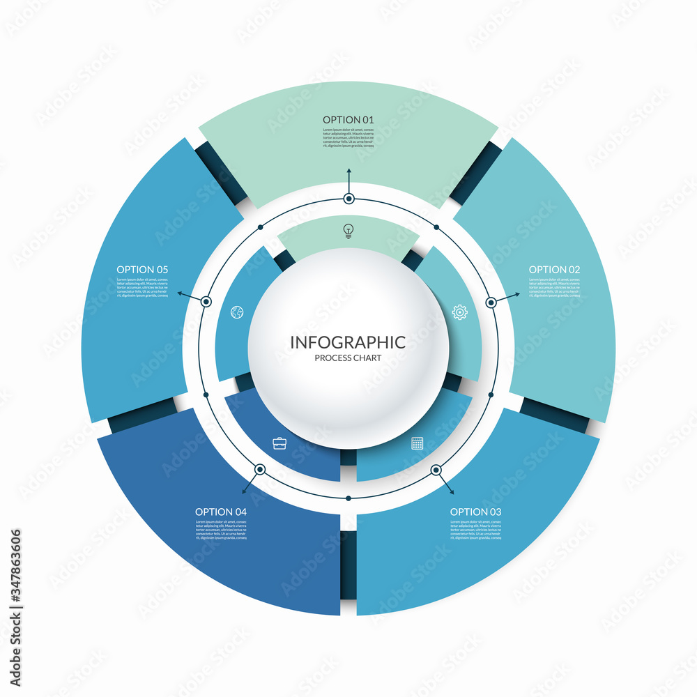 Infographic circular chart divided into 5 parts. Stepby step cycle