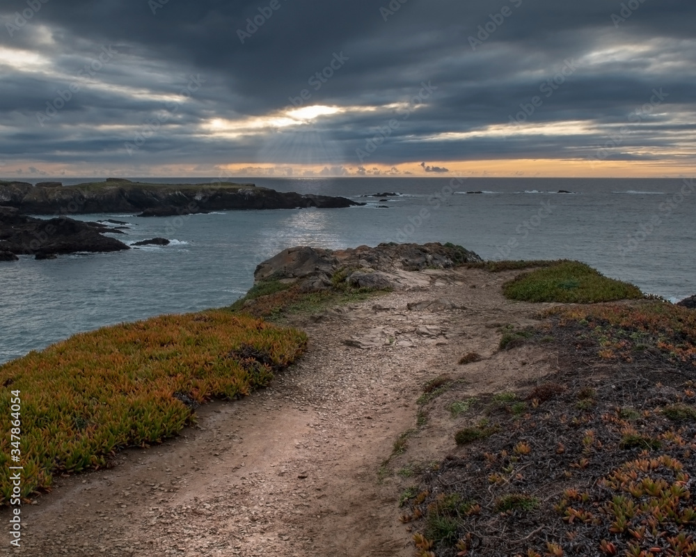Sunset blue hour in Mendocino Headlands State Park, featuring leading lines and a orange color horizon 