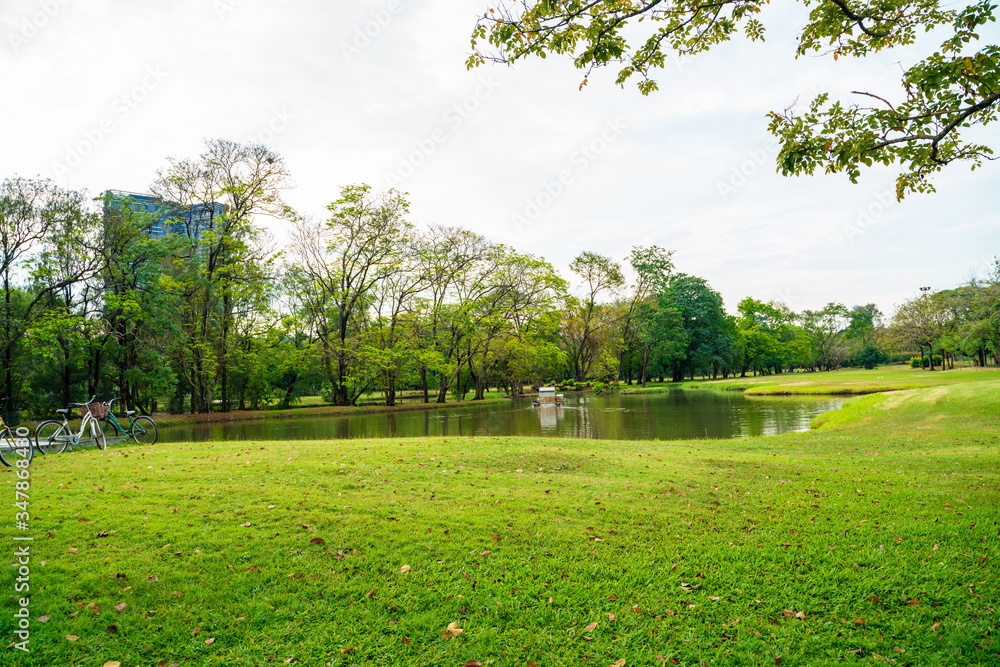 Naklejka premium Green nature public city park green meadow grass sky with cloud