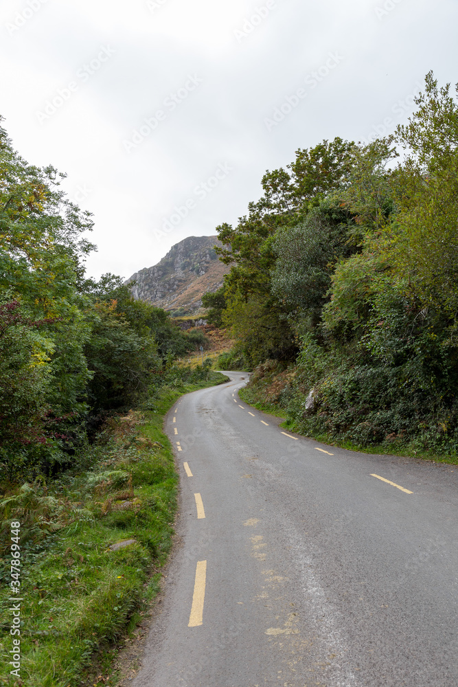 Winding Path in Ireland Winding Path in Ireland