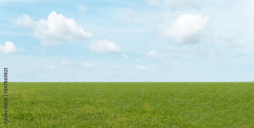 Green grass field and blue sky with white soft clouds. Landscape background. Green grass field and blue sky with white soft clouds. Landscape background.