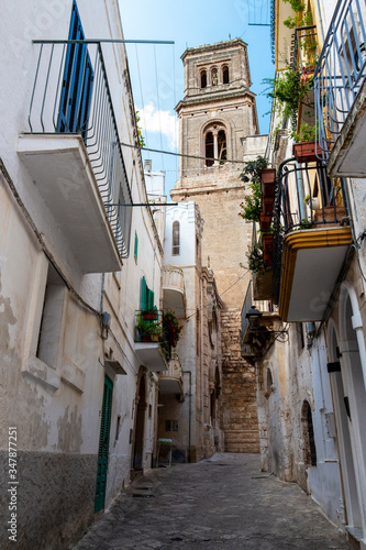 Fasano old town street view with the bell tower of the Church of San Giovanni Battista, Church of Saint John the Baptist in the background, Province of Brindisi, Apulia, Italy