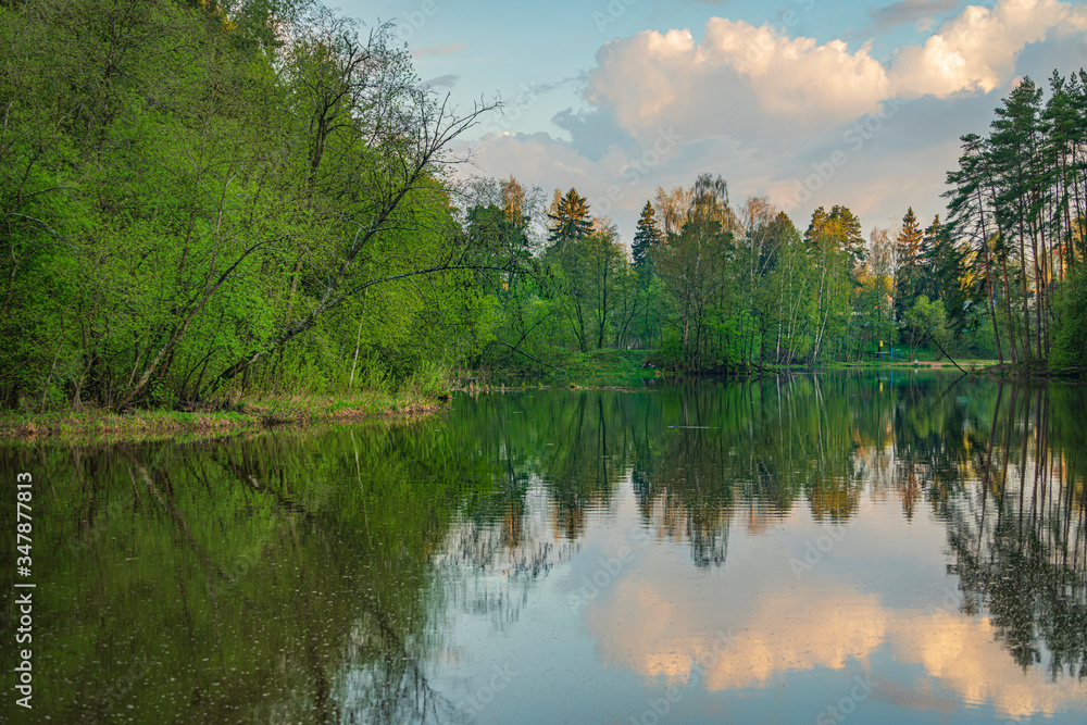 Reflection of spring trees in the lake at sunset