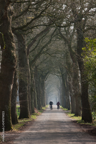 Cyclists at Lane near Willemsoord. Westvierdeparten. Willemsoord. Maatschappij van Weldadigheid Netherlands.