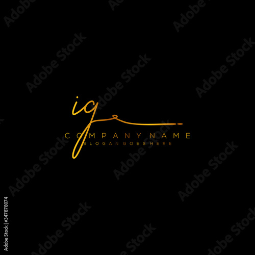 Letter IG Signature Logo Template Vector