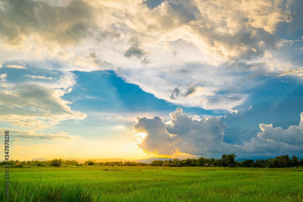 HDR of white clouds with rice fields in the blue sky and sunlight.sunset time HDR of white clouds with rice fields in the blue sky and sunlight.sunset time