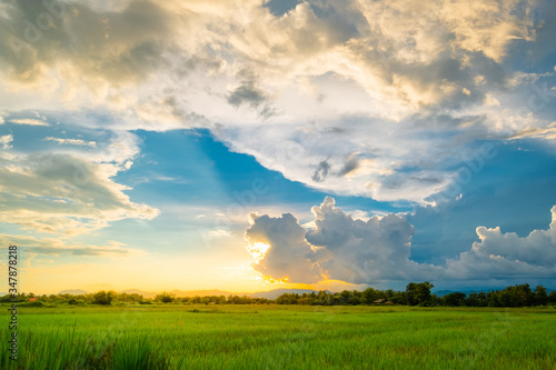 HDR of white clouds with rice fields in the blue sky and sunlight.sunset time