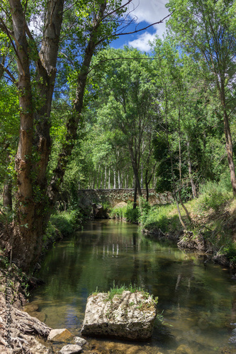 Views of the river and nature near Sepulveda  Spain 