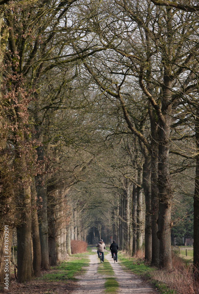 Lane at Boschoord Maatschappij van Weldadigheid Frederiksoord Netherlands. 