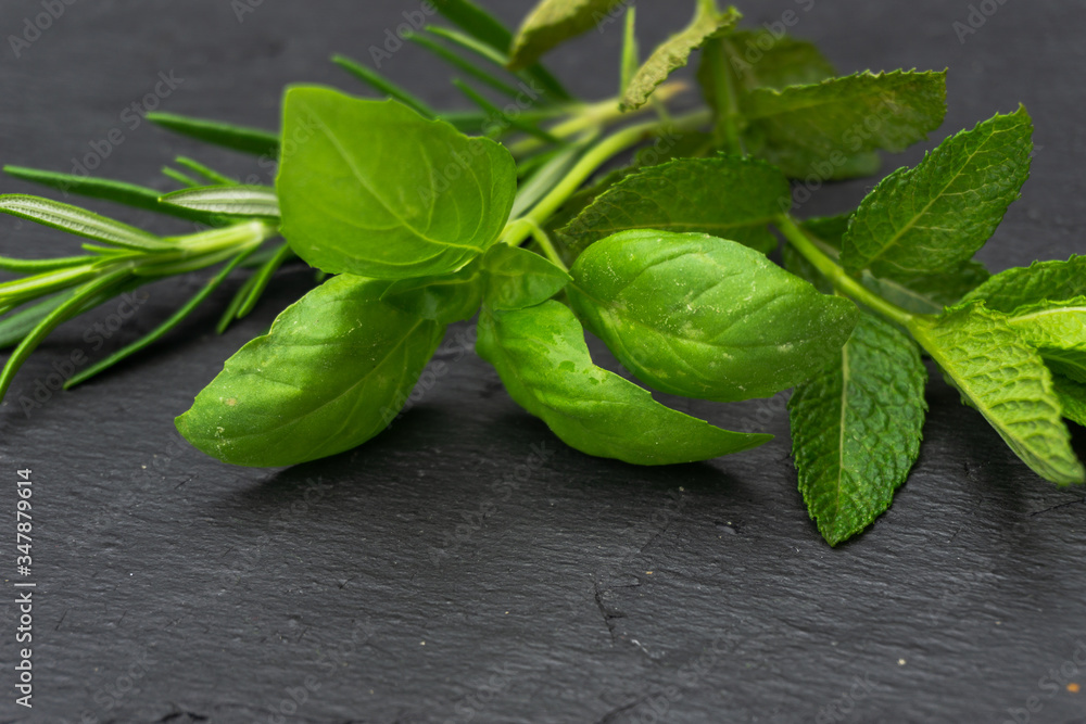 Close up image of aromatic plants, basil, mint and rosemary in a rectangular blackboard plate isolated on white. Close up image of aromatic plants, basil, mint and rosemary in a rectangular blackboard plate isolated on white.