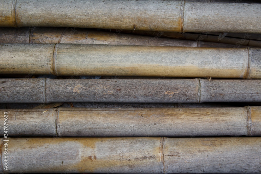 stack of bamboo canes stack of bamboo canes