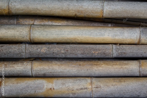 stack of bamboo canes