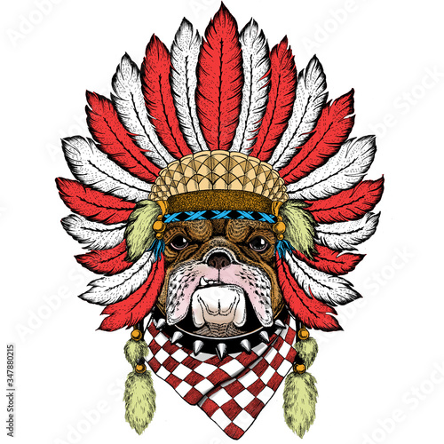Bulldog  dog. Portrait of cute animal. Indian headdress with feathers. Boho style. Indian headdress with feathers. Boho style.