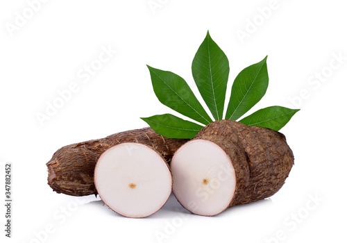 Cassava and cassava leaf isolated on a white background photo