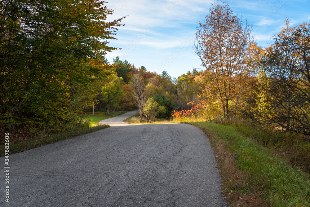 Winding country road through a colourful deciduous forest at sunset in autumn. Countryside of Vermont, USA.