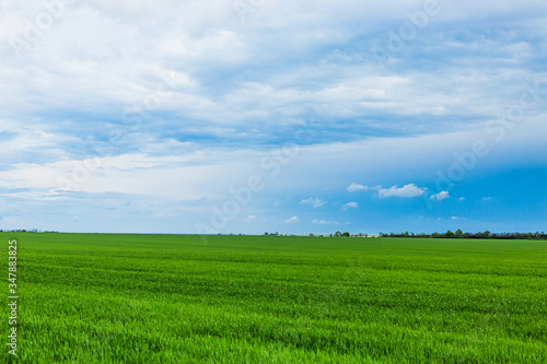 White clouds. Green field with blue sky.