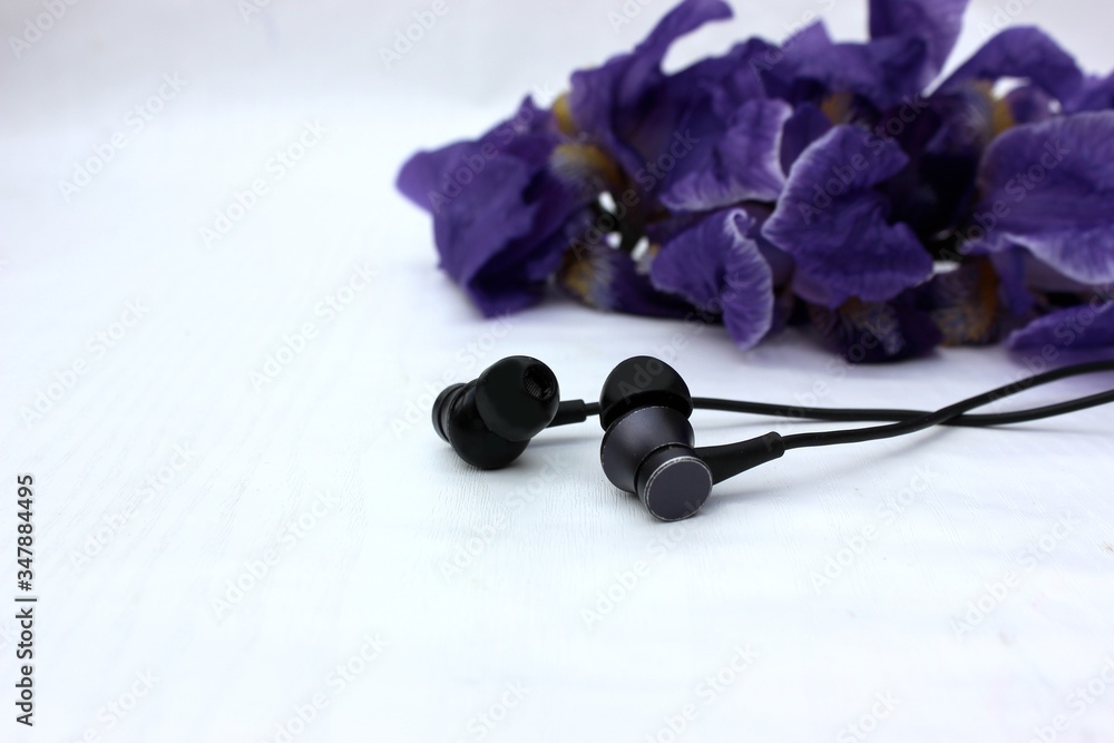 Black headphones isolated on white, in the background flowers. Black earphone on a background of blue iris flowers isolated on white. Side view, copyspace
