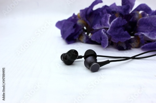 Obraz na płótnie Black headphones isolated on white, in the background flowers. Black earphone on a background of blue iris flowers isolated on white. Side view, copyspace w salonie