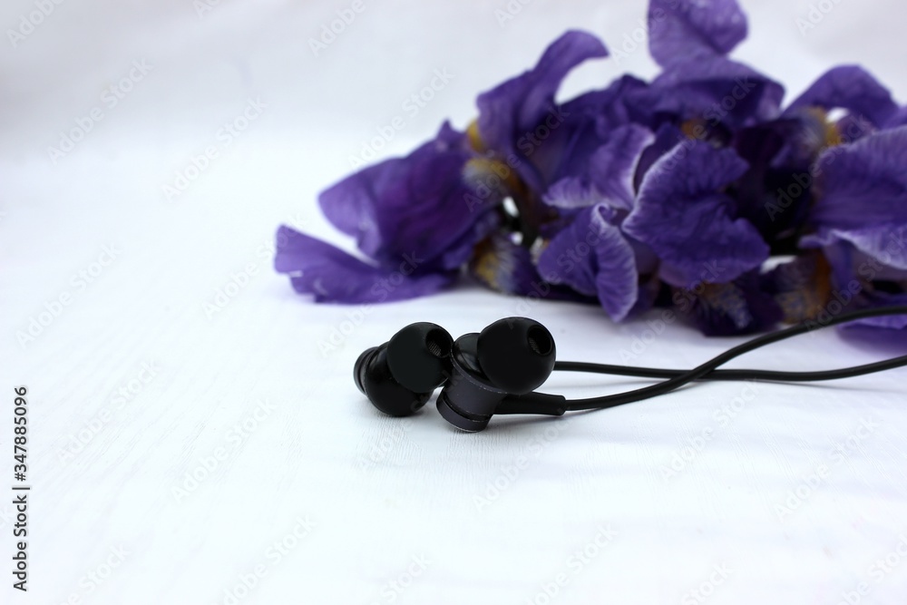 Black headphones isolated on white, in the background flowers. Black earphone on a background of blue iris flowers isolated on white. Side view, copyspace