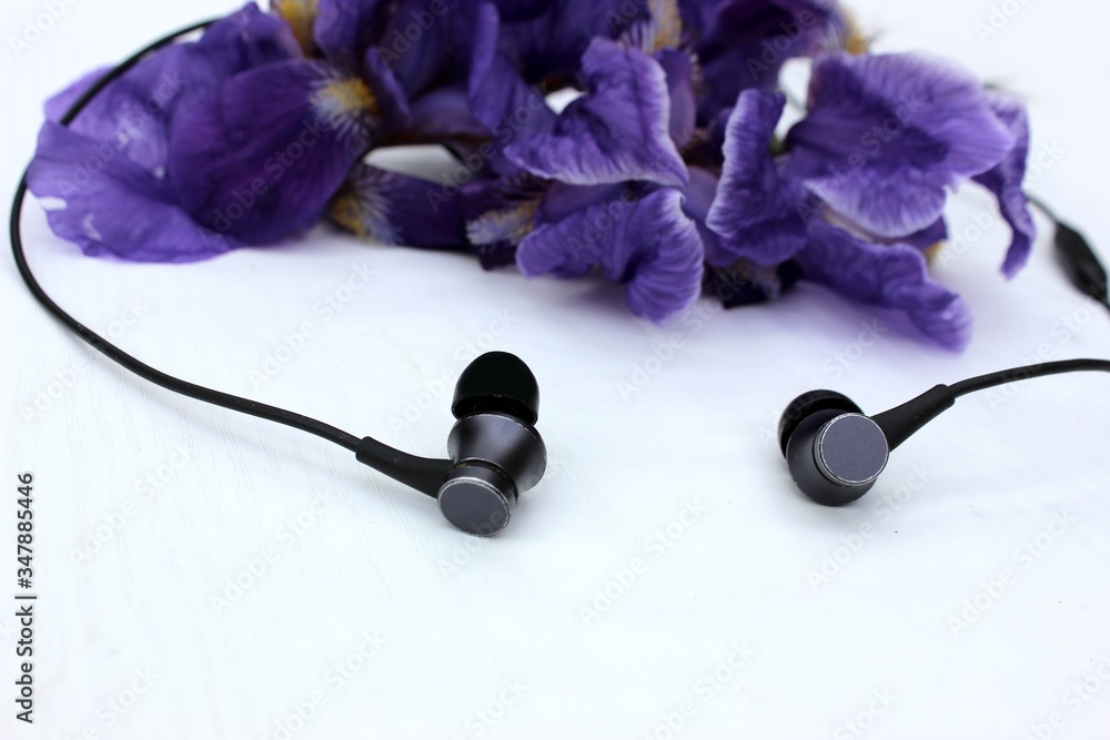Black headphones isolated on white, in the background flowers. Black earphone on a background of blue iris flowers isolated on white. Side view, copyspace