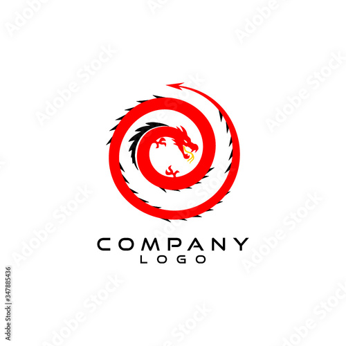 dragon logo design vector