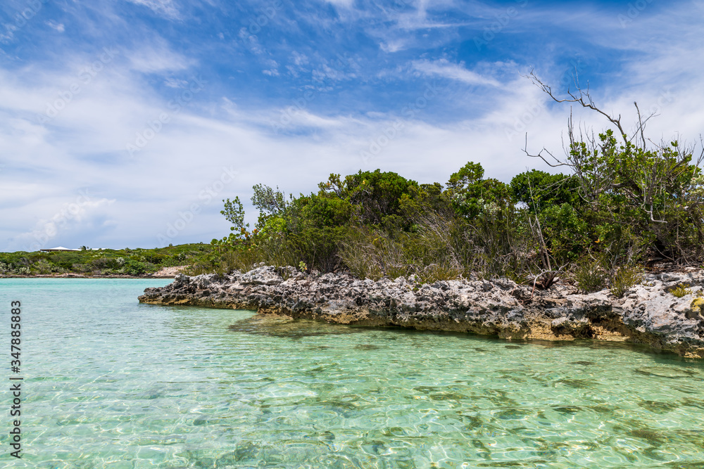 Tropical vegetation in Stock Island (Exuma, Bahamas). Tropical vegetation in Stock Island (Exuma, Bahamas).