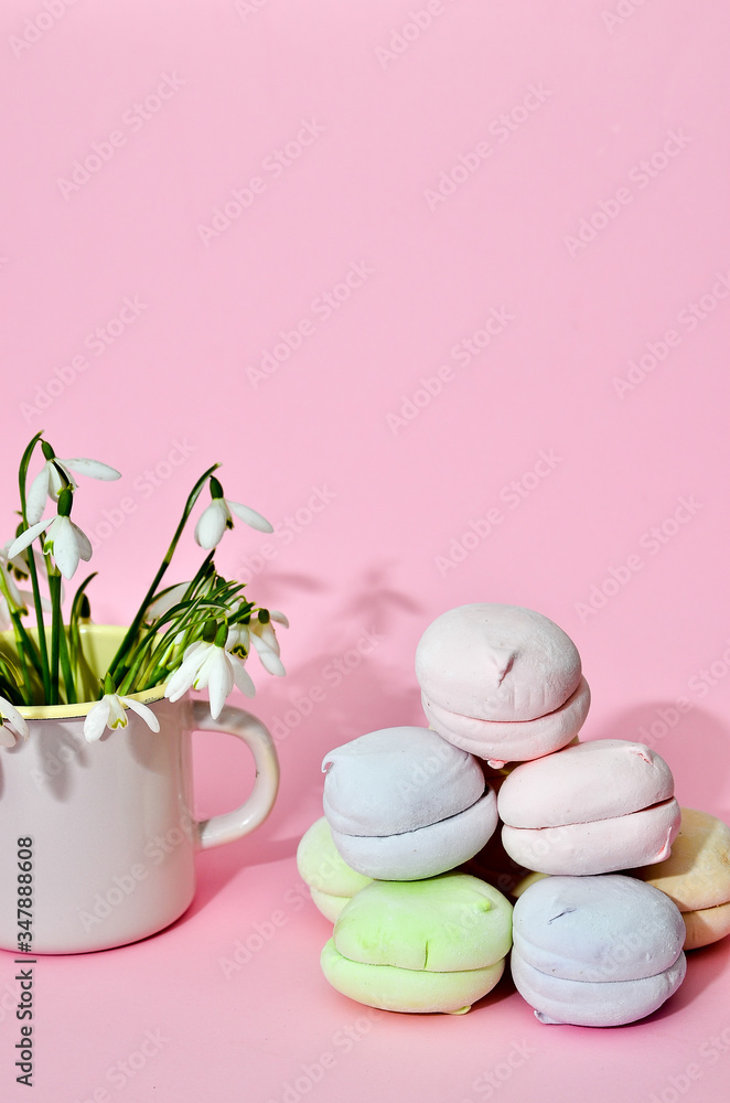 Top view of pastel colored marshmallow and a cup with a snowdrops on a blue pink background. Minimalism photo for your design