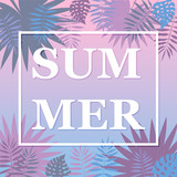 Summer postcard with design of palm trees of tropical leaves.Vector illustration