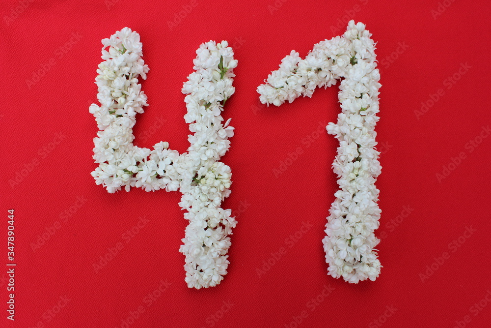 The number forty one is written in white lilac flowers on a red background. The number 41 is written in fresh flowers, isolated on red. Arabic numeral lined with flowers.