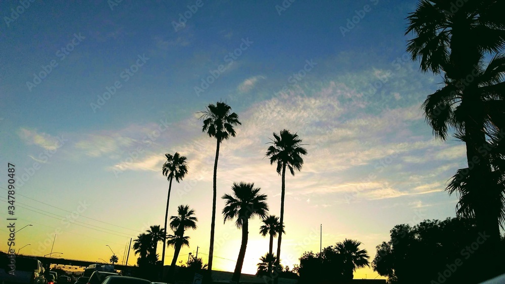 Obraz premium Sunset