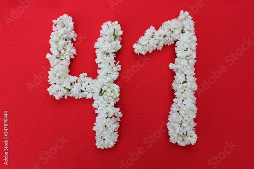 Obraz na płótnie The number forty one is written in white lilac flowers on a red background. The number 41 is written in fresh flowers, isolated on red. Arabic numeral lined with flowers. w salonie