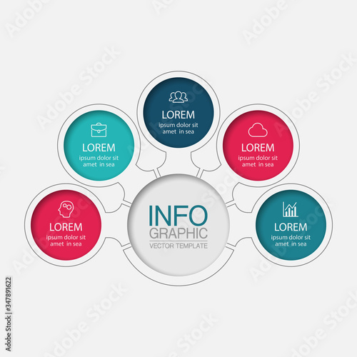 Vector iInfographic template for business, presentations, web design, 5 options.